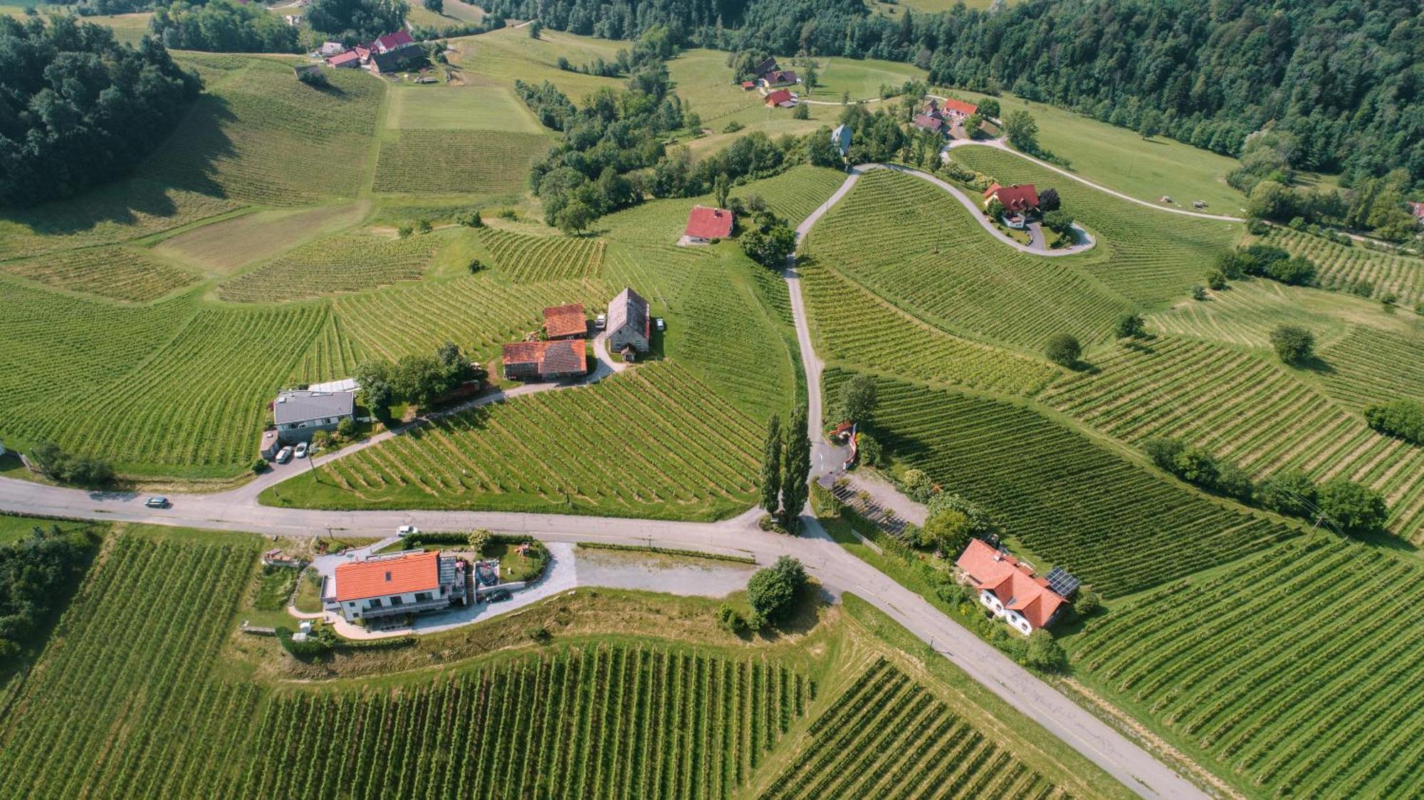 Weinstrassenapartment Fam. Dietrich Ratsch an der Weinstraße Kültér fotó